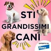 Podcast Sti Grandissimi Cani