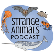 Podcast Strange Animals Podcast