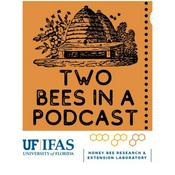 Podcast Two Bees in a Podcast