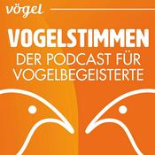 Podcast Vogelstimmen