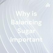 Podcast Why is Balancing Sugar Important