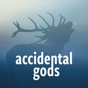 Ascolta Accidental Gods nell'app