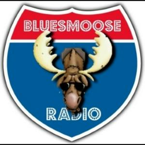 Ascolta Blues Moose Radio (Blues music) nell'app