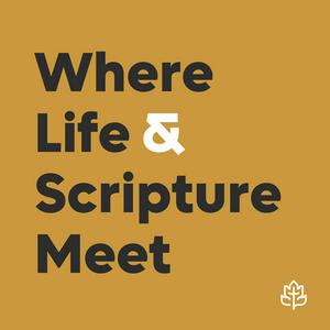 Ascolta CCEF Podcast: Where Life & Scripture Meet nell'app