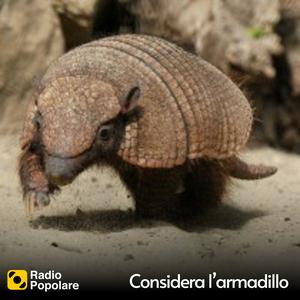 Ascolta Considera l’armadillo nell'app