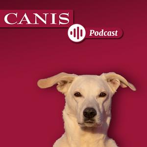 Ascolta Der CANIS-Podcast – Hundeexpert:innen ausgefragt nell'app