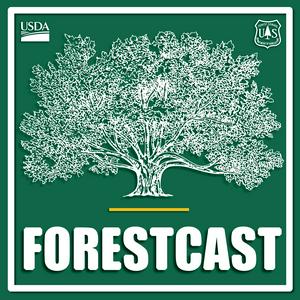 Ascolta Forestcast nell'app