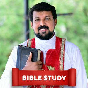 Ascolta Fr. Daniel Poovannathil nell'app