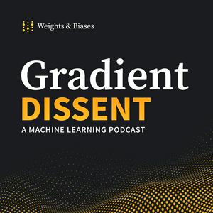 Ascolta Gradient Dissent: Conversations on AI nell'app