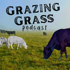 Ascolta Grazing Grass Podcast : Sharing Stories of Regenerative Ag nell'app