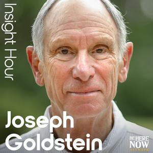 Ascolta Insight Hour with Joseph Goldstein nell'app