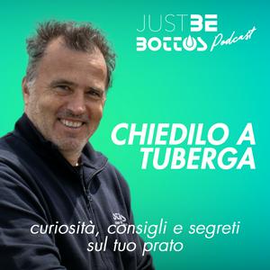 Ascolta JUST BE BOTTOS - Chiedilo a Tuberga nell'app