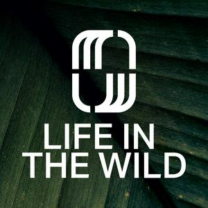 Ascolta Life In The Wild with Michael Bethany nell'app