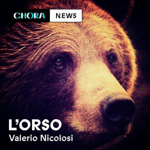 Ascolta L'orso nell'app