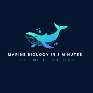 Ascolta Marine Biology in 5 Minutes nell'app