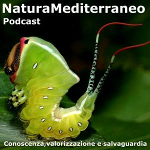 Ascolta Natura Mediterraneo Podcast nell'app