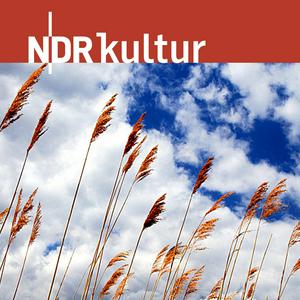 Ascolta NDR Kultur - Glaubenssachen nell'app