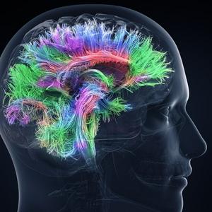 Ascolta Neuroscienze nell'app