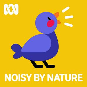 Ascolta Noisy by Nature nell'app