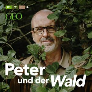 Ascolta Peter und der Wald – ein GEO-Podcast nell'app