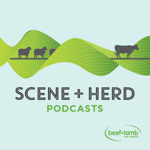 Ascolta Scene + Herd: Podcasts from Beef + Lamb New Zealand nell'app