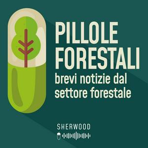 Ascolta Pillole forestali nell'app