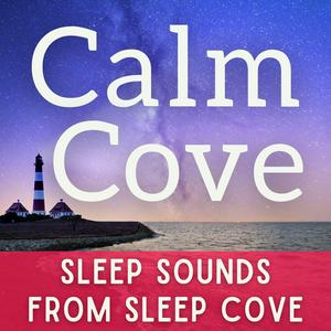 Ascolta Sleep Sounds - White Noise & Sleep Music from Calm Cove nell'app