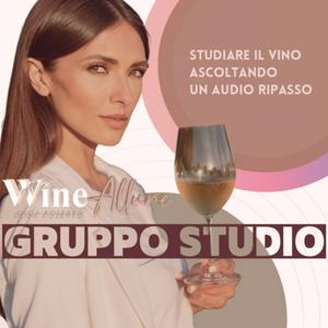 Ascolta Studiare il vino-Audio Ripasso nell'app