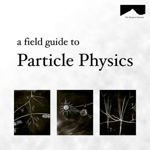 Ascolta The Field Guide to Particle Physics nell'app