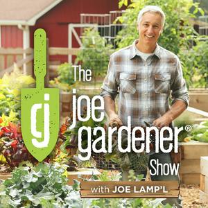 Ascolta The joe gardener Show - Organic Gardening - Vegetable Gardening - Expert Garden Advice From Joe Lamp'l nell'app