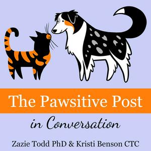 Ascolta The Pawsitive Post in Conversation by Companion Animal Psychology nell'app