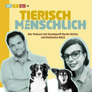 Ascolta Tierisch menschlich - Der Podcast mit Hundeprofi Martin Rütter und Katharina Adick nell'app