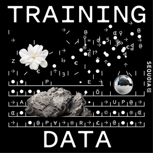 Ascolta Training Data nell'app