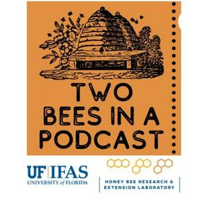 Ascolta Two Bees in a Podcast nell'app