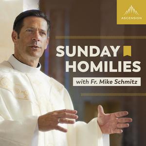 Ascolta Sunday Homilies with Fr. Mike Schmitz nell'app